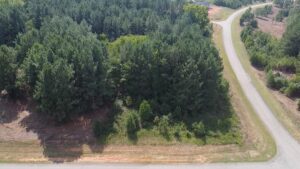 Property photo for land for sale in Mecklenburg County Virginia