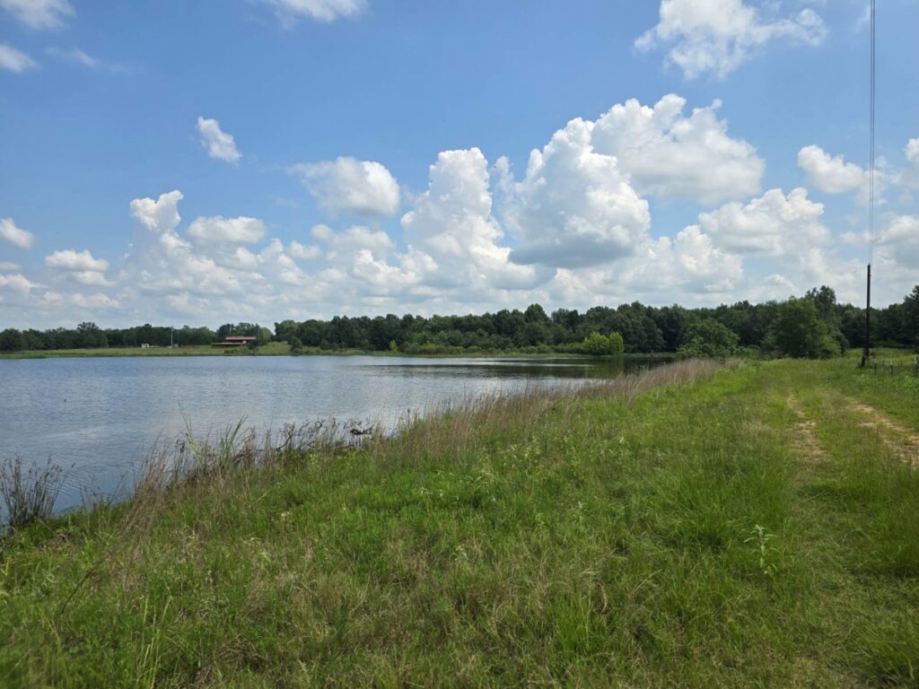 32e7b1a9-adbe-4df5-9383-507ced758fad.jpg
