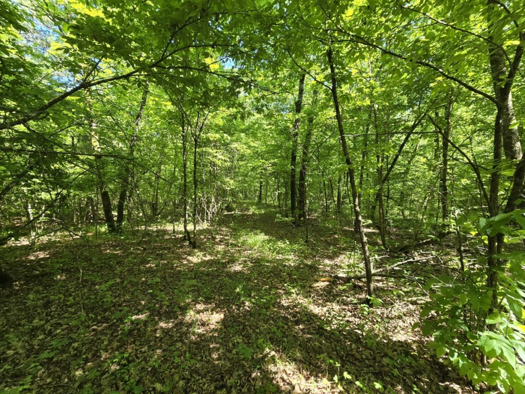 3385afdf-21f8-416e-bd09-69a1ad3391ae.jpg
