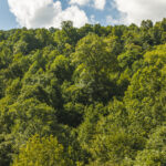 Property photo for land for sale in Claiborne County Tennessee