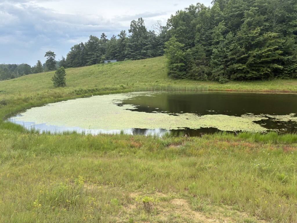 35ec1849-4565-464d-9365-89bbd10b4425.jpg