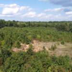 Property photo for land for sale in Halifax County Virginia