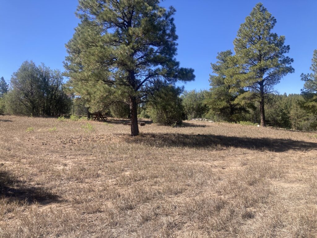 Property photo for land for sale in Rio Arriba County New Mexico