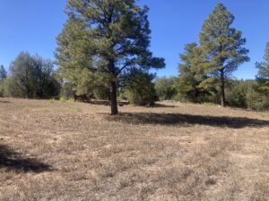 Property photo for land for sale in Rio Arriba County New Mexico