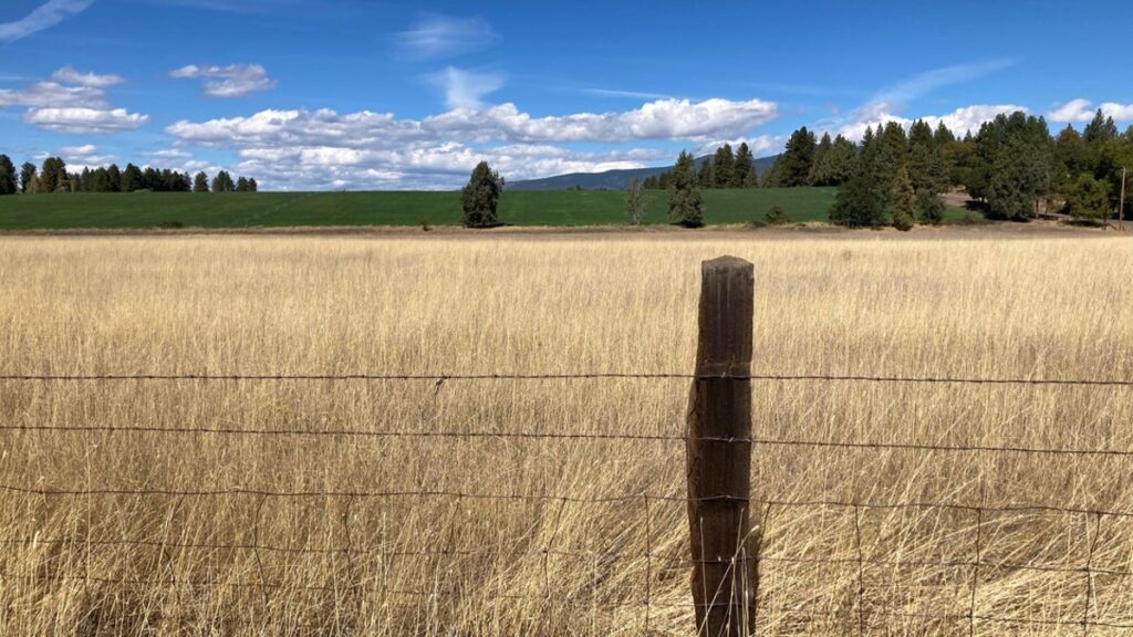 Property photo for land for sale in Shasta County California