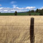 Property photo for land for sale in Shasta County California