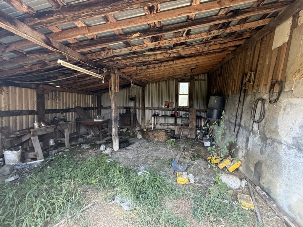 395a7633-d71e-4038-b043-437c366bcd0a.jpg