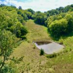 Property photo for land for sale in Giles County Tennessee