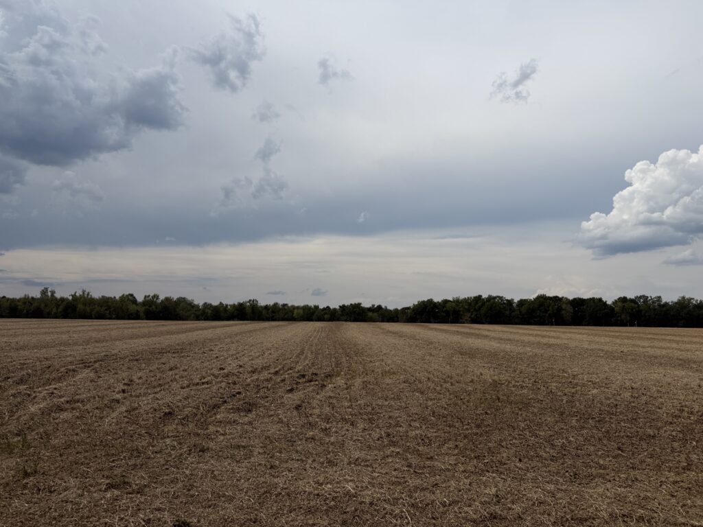 3a2c8c2d-0326-4711-ab7d-f940191b3032.jpg