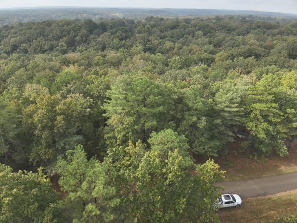 Property photo for land for sale in Perry County Tennessee