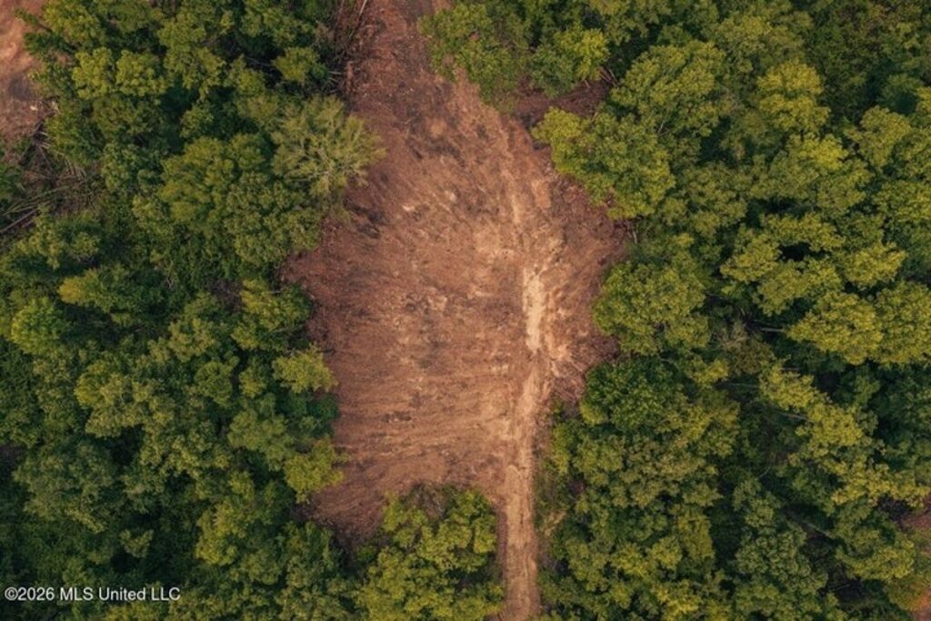 Property photo for land for sale in Franklin County Mississippi