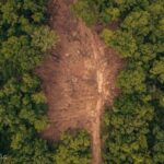 Property photo for land for sale in Franklin County Mississippi