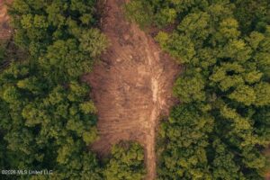 Property photo for land for sale in Franklin County Mississippi