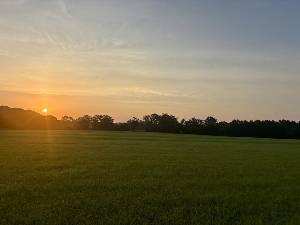 Property photo for land for sale in Geneva County Alabama