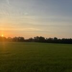 Property photo for land for sale in Geneva County Alabama