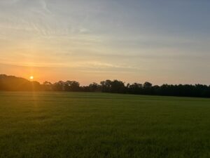 Property photo for land for sale in Geneva County Alabama
