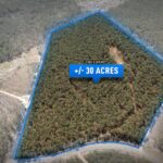 Property photo for land for sale in Tishomingo County Mississippi