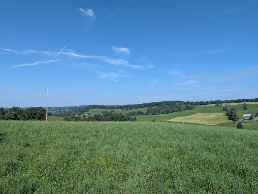 3da86218-962d-41e7-9631-f4426f5515bb.jpg
