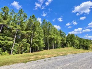 Property photo for land for sale in Perry County Tennessee