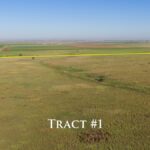 Property photo for land for sale in Lamb County Texas