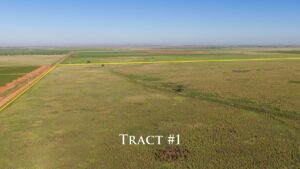 Property photo for land for sale in Lamb County Texas