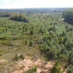 Property photo for land for sale in Halifax County Virginia