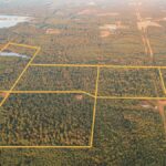 Property photo for land for sale in Union County Louisiana