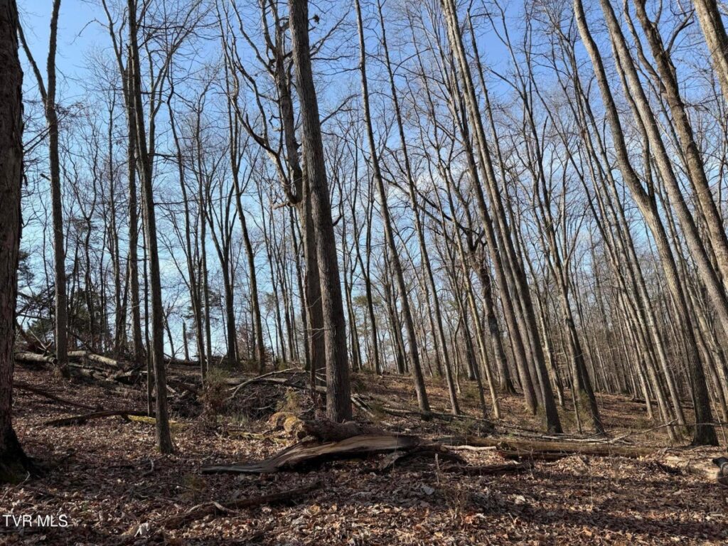 435db498-9235-4998-8979-702d4047e6d4.jpg