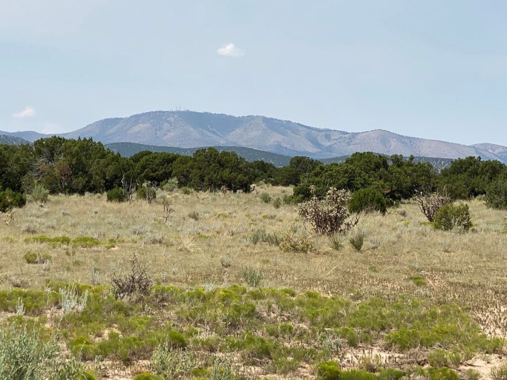 Property photo for land for sale in Torrance County New Mexico