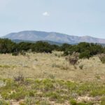 Property photo for land for sale in Torrance County New Mexico