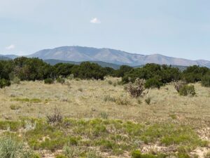 Property photo for land for sale in Torrance County New Mexico