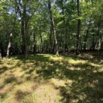 Property photo for land for sale in Waupaca County Wisconsin