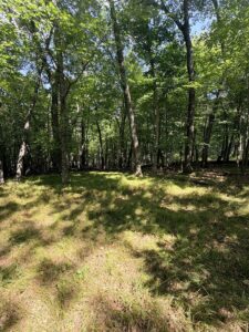 Property photo for land for sale in Waupaca County Wisconsin
