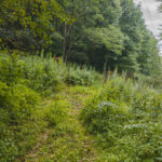Property photo for land for sale in Burke County North Carolina