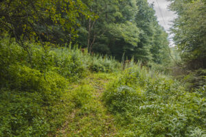 Property photo for land for sale in Burke County North Carolina