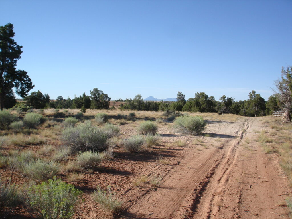 Property photo for land for sale in Dolores County Colorado