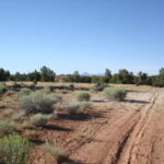 Property photo for land for sale in Dolores County Colorado