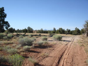 Property photo for land for sale in Dolores County Colorado