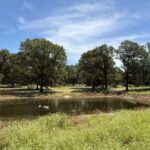 Property photo for land for sale in Smith County Texas