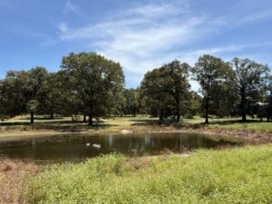 Property photo for land for sale in Smith County Texas