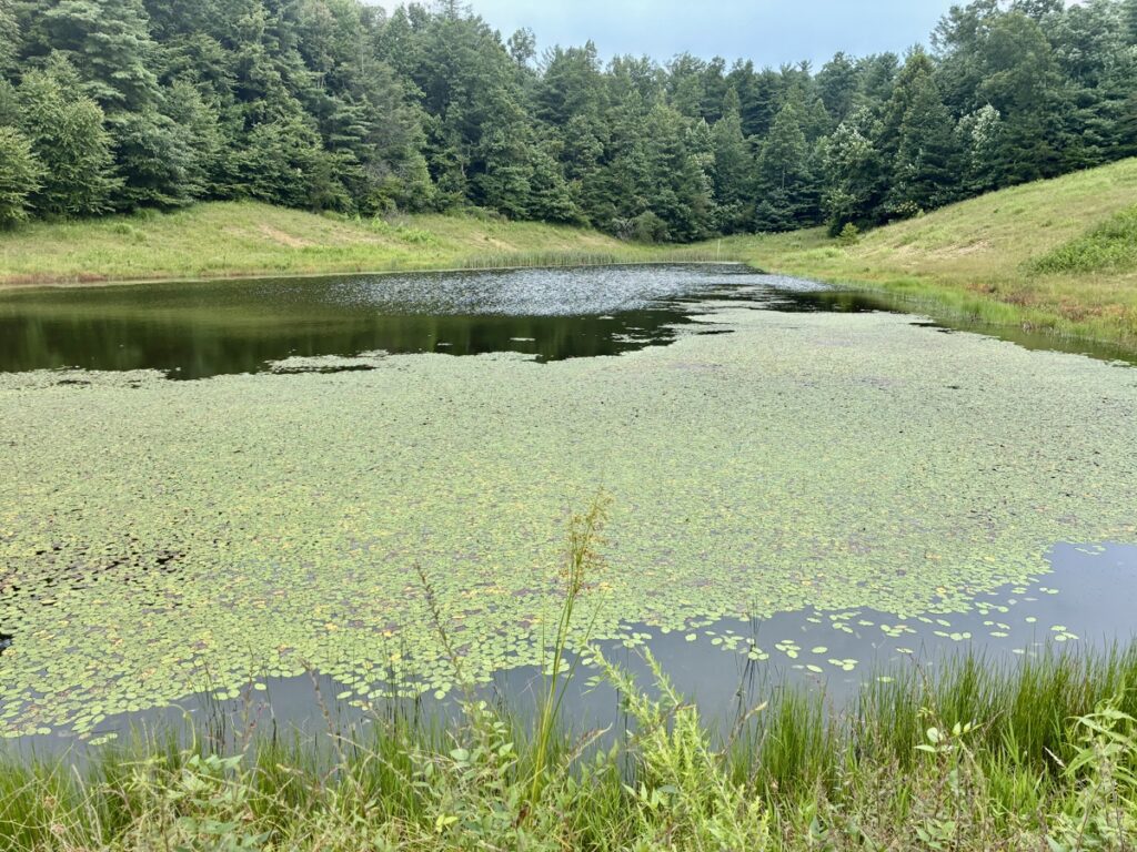 Property photo for land for sale in Wolfe County Kentucky