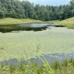 Property photo for land for sale in Wolfe County Kentucky