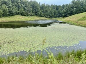 Property photo for land for sale in Wolfe County Kentucky
