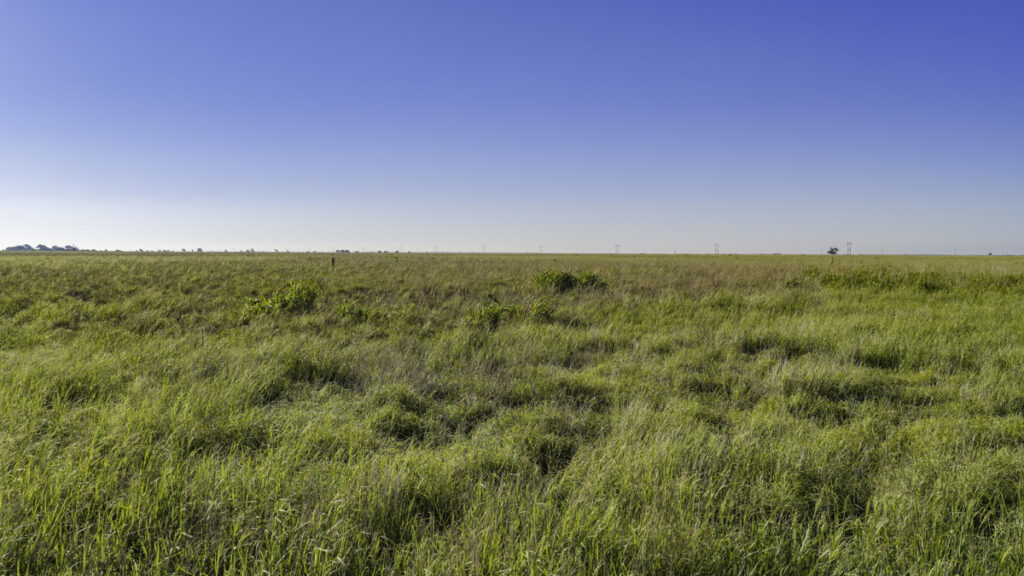 481facec-0b4c-4df6-a161-7b0d577103f0.jpg