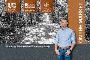 Property photo for land for sale in Sharp County Arkansas