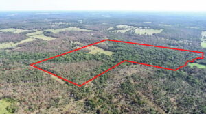 Property photo for land for sale in St. Clair County Missouri