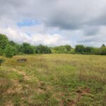Property photo for land for sale in Columbia County Wisconsin