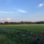 Property photo for land for sale in Le Flore County Oklahoma