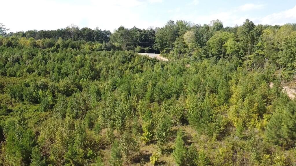 Property photo for land for sale in Halifax County Virginia