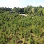 Property photo for land for sale in Halifax County Virginia